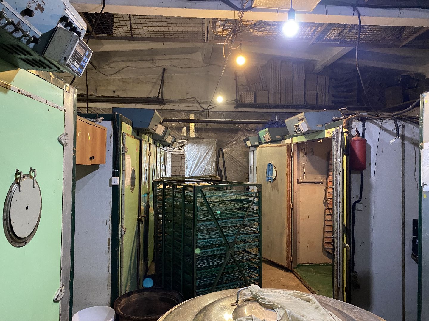 Чехов, ферма, гуси, инкубатор, яйца