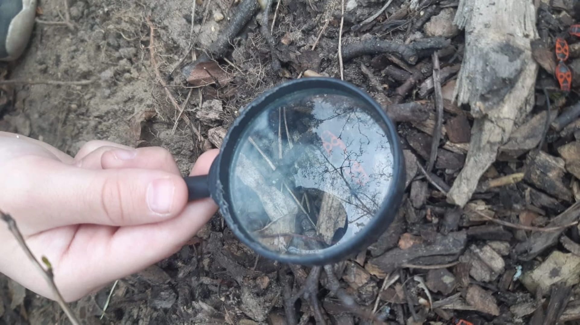 Протвино, образование, весна, ОВЗ, реабилитация