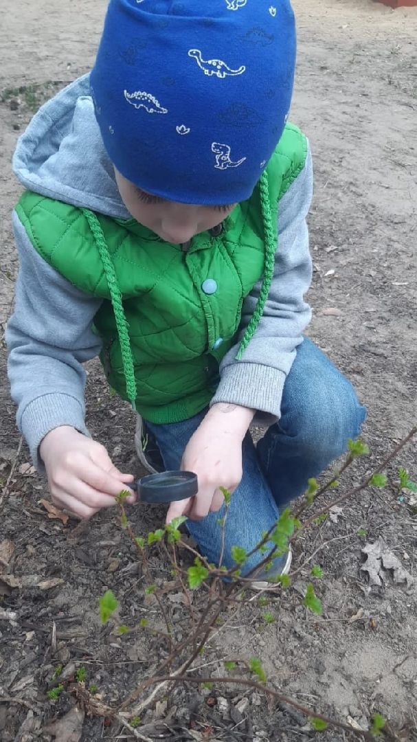 Протвино, образование, весна, ОВЗ, реабилитация