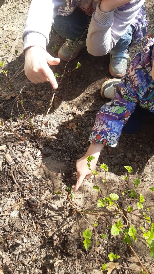 Протвино, образование, весна, ОВЗ, реабилитация