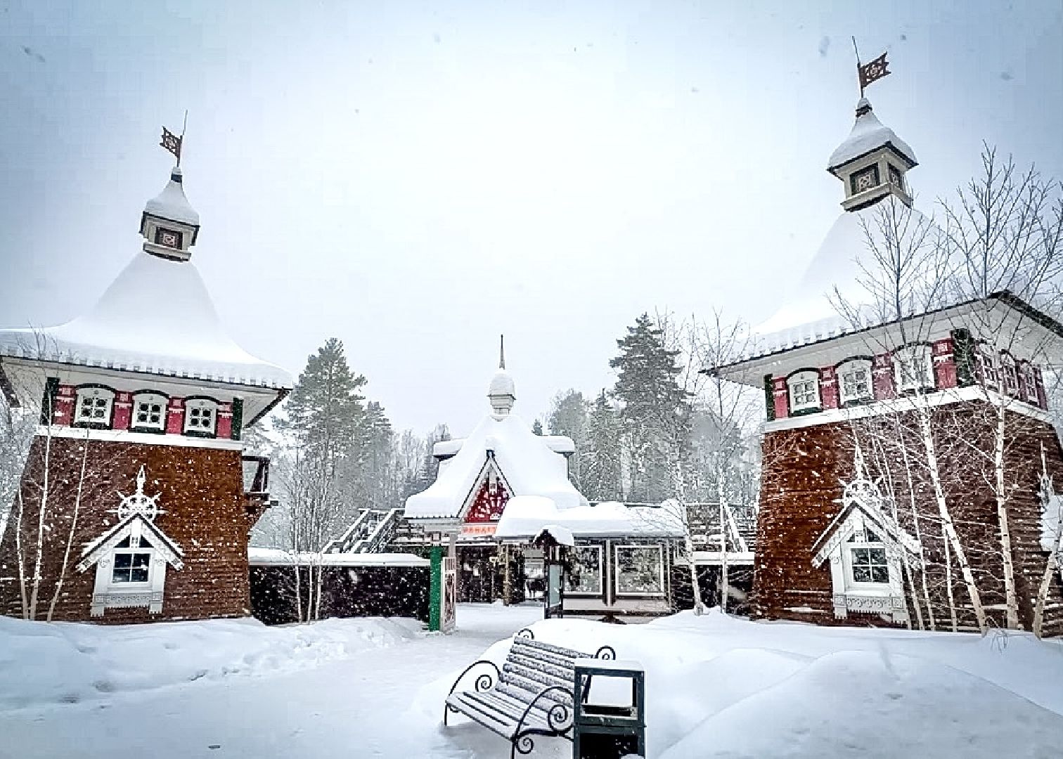 Клин, общество, животные, красная книга России, зима в подмосковье,