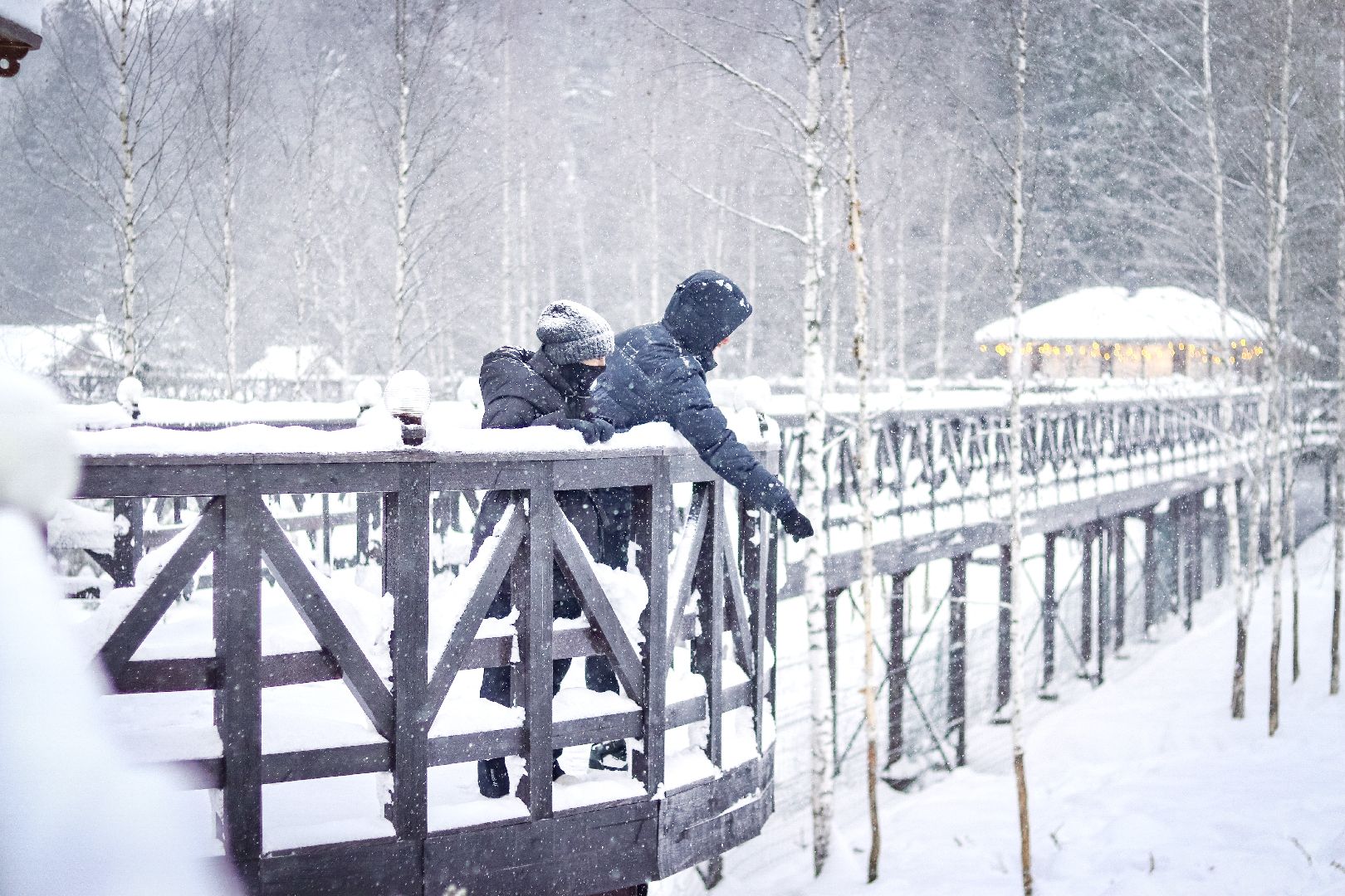Клин, общество, животные, красная книга России, зима в подмосковье,