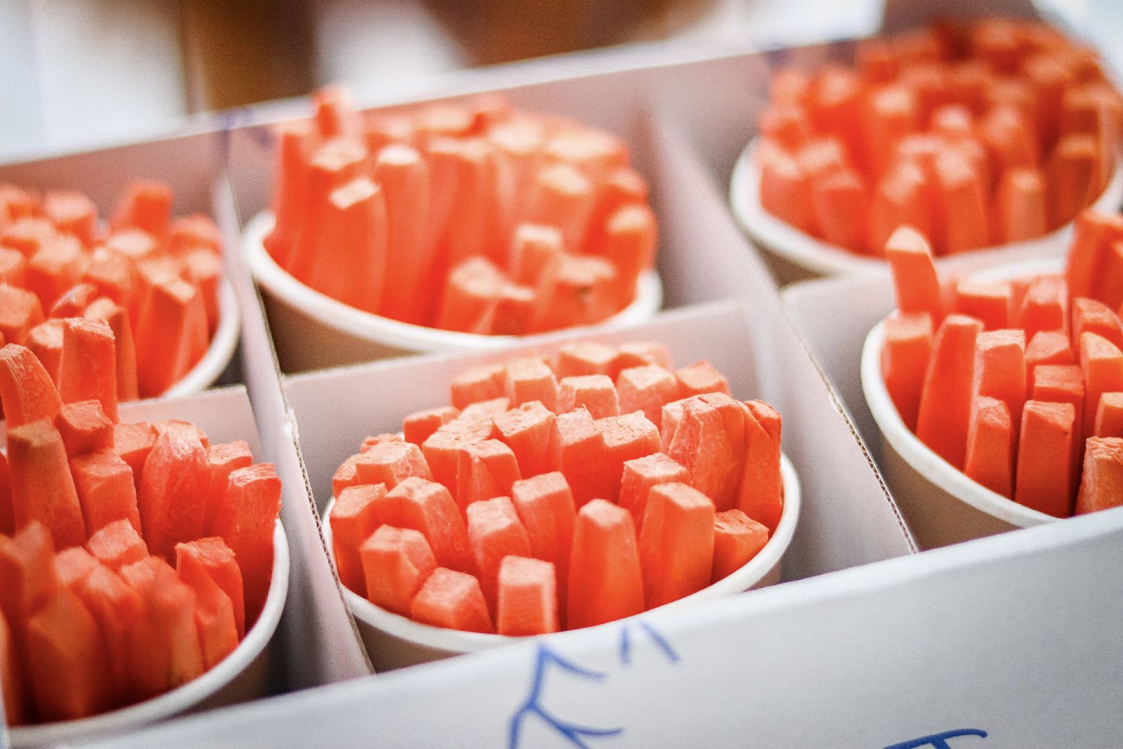 Клин, общество, животные, красная книга России, зима в подмосковье,