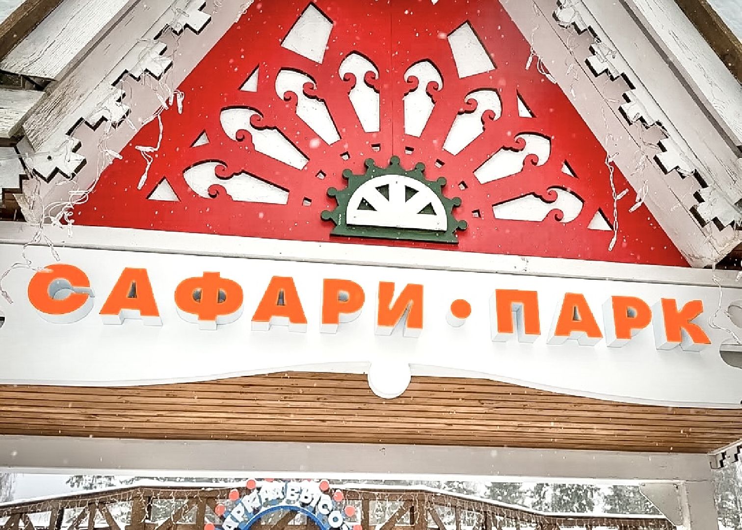 Клин, общество, животные, красная книга России, зима в подмосковье,