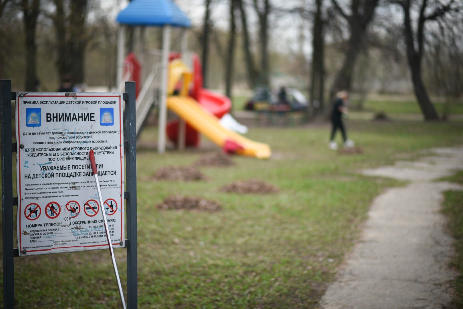 Зарайск, Субботник