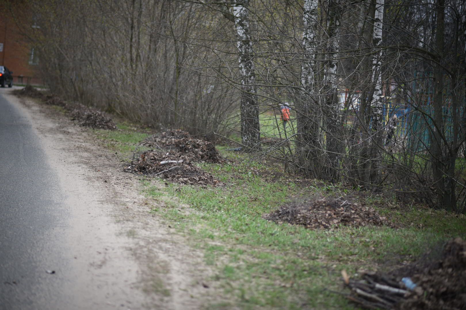 Зарайск, Субботник