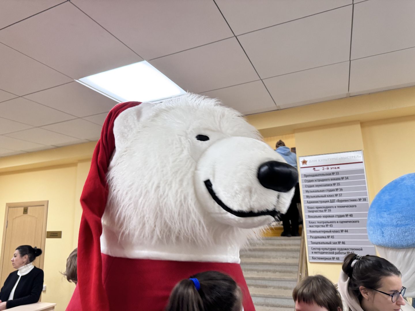 Солнечногорск, Праздник, Новогодняя елка, Дети с овз, вертикалки,