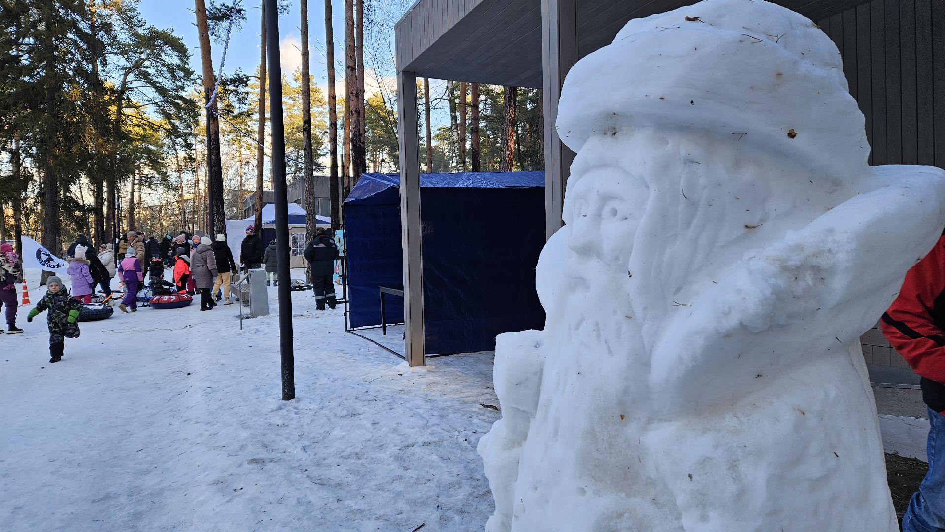 волонтеры, Жуковский, дед мороз,