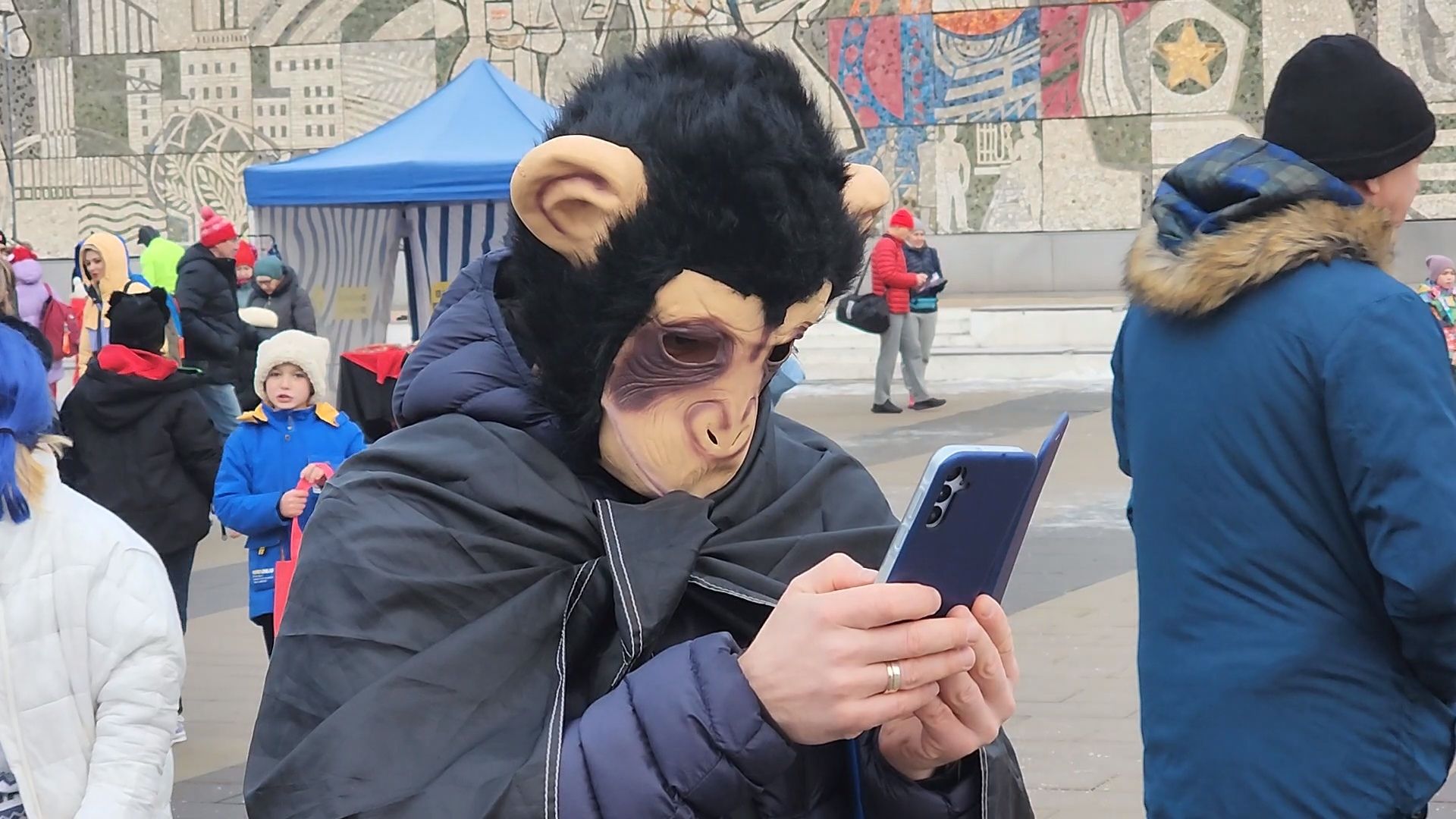 вертикалки, королёв,