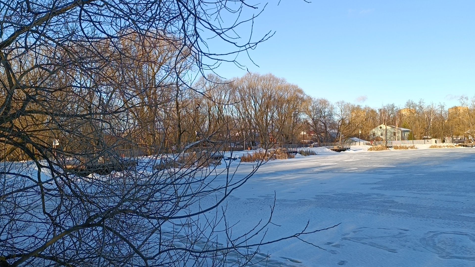 экология, выездная администрация, лобня,