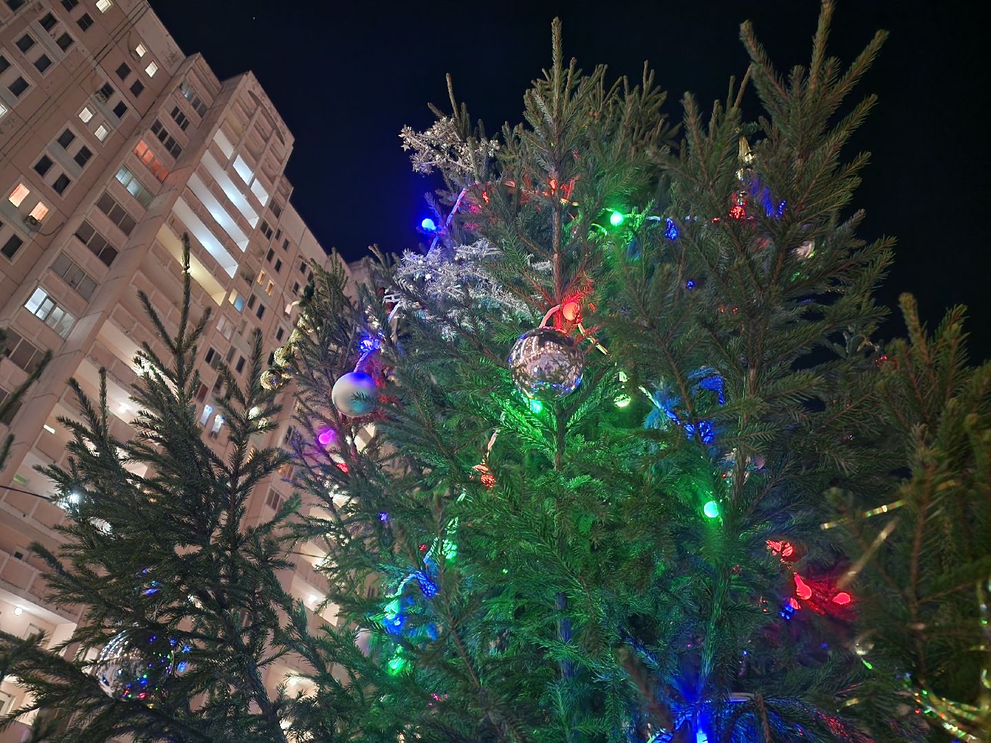 подольск, ёлка, открытие, представление,