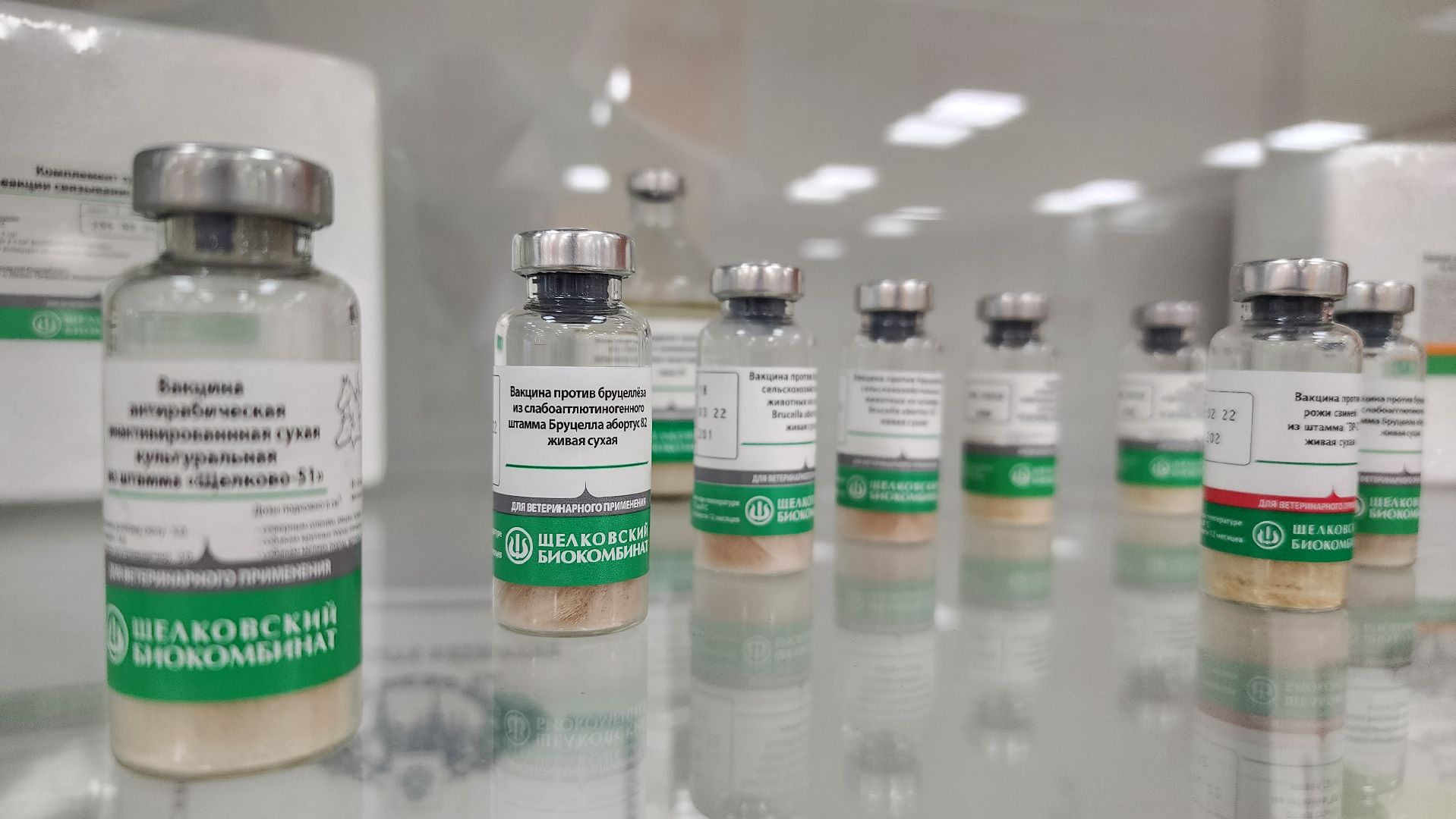 экономика, производство вакцин, предприятие, Лосино-Петровский, животноводство,