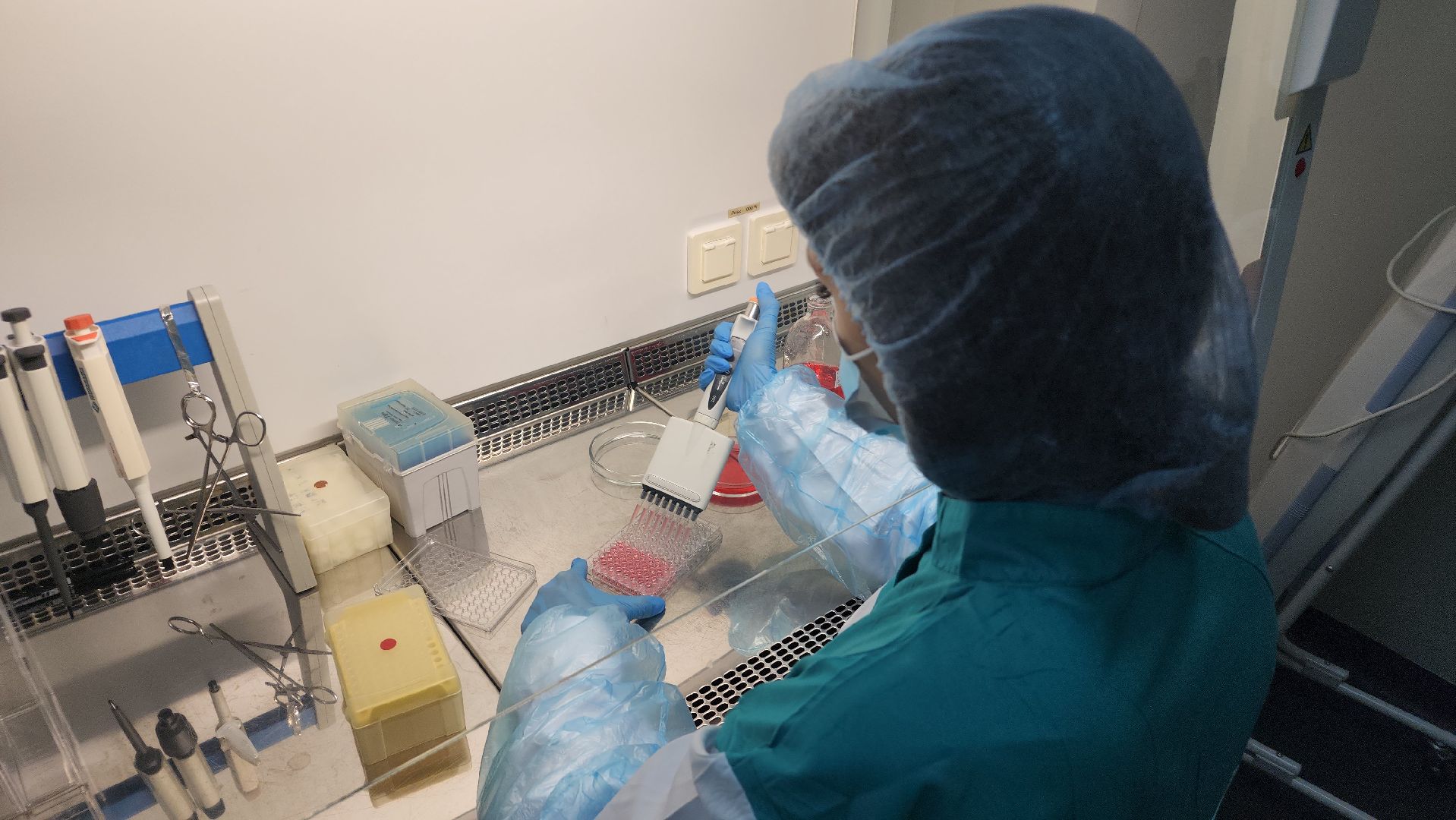 экономика, производство вакцин, предприятие, Лосино-Петровский, животноводство,