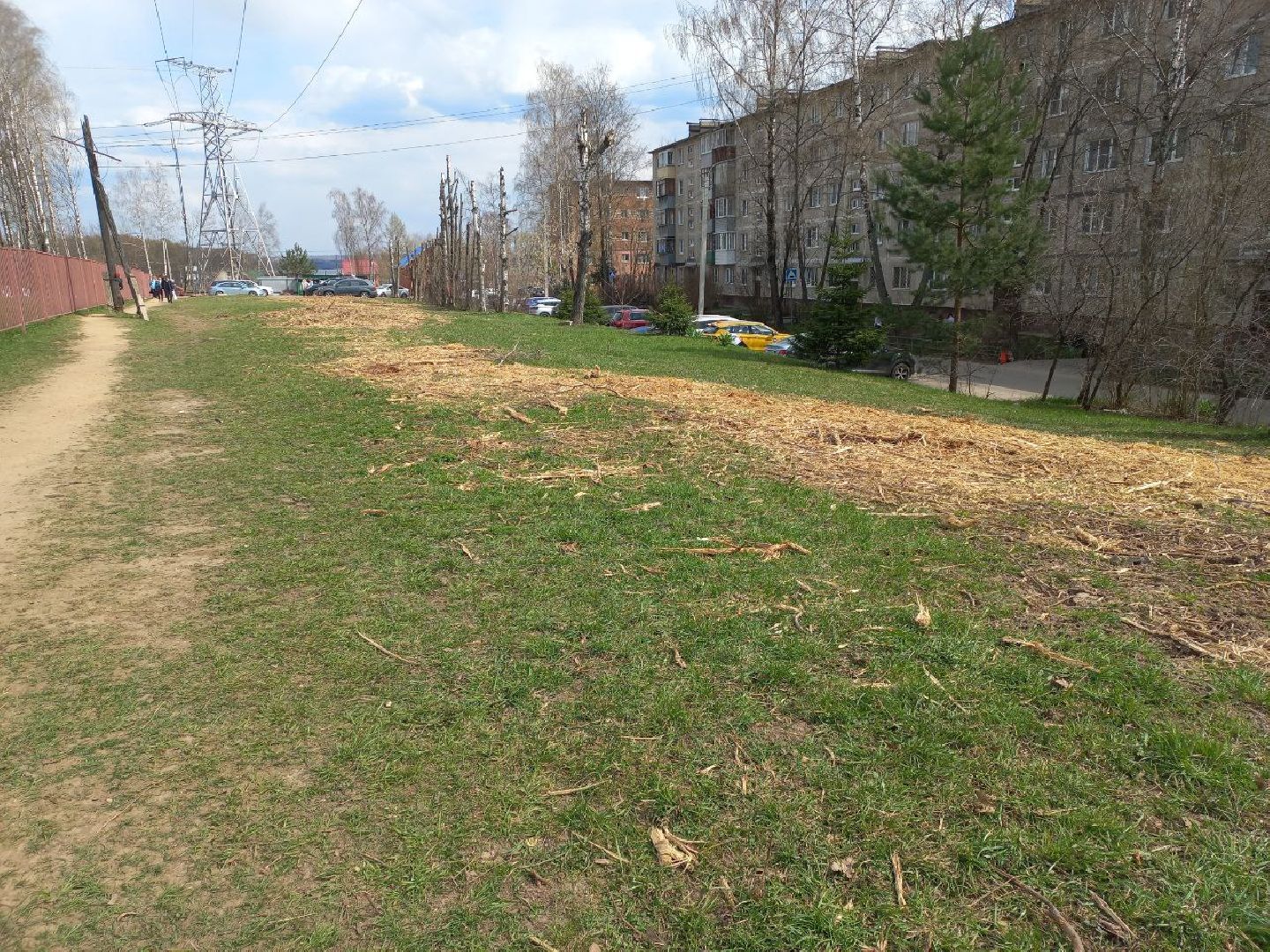 Солнечногорск, благоустройство, деревья, сухостой, школа