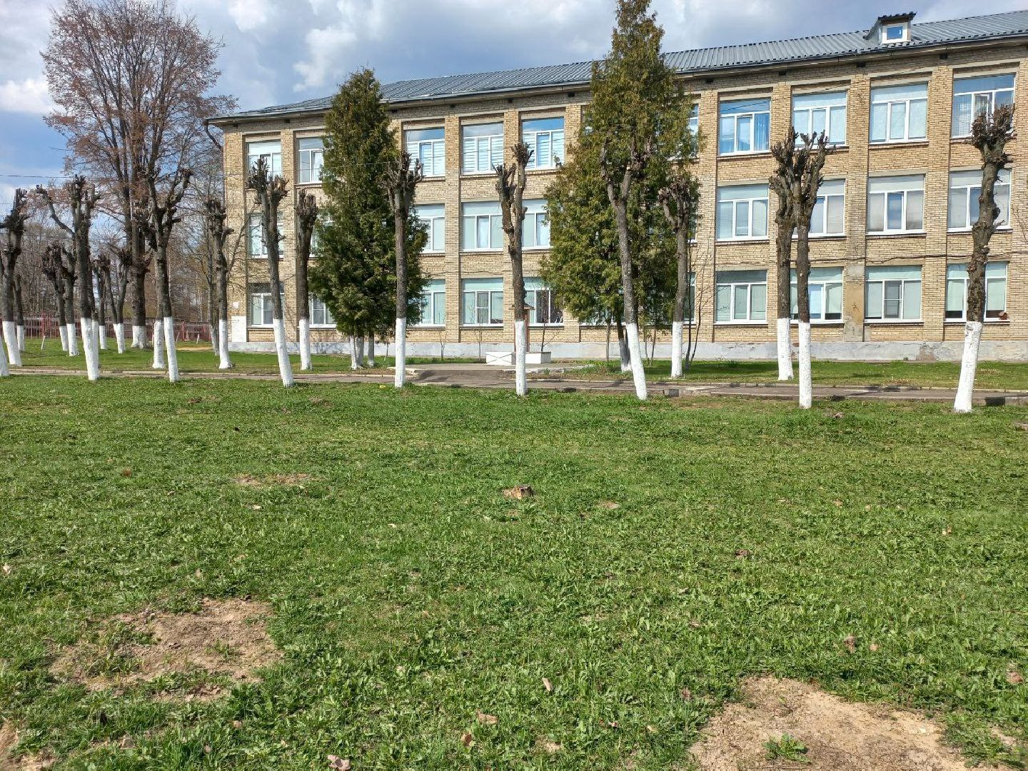 Солнечногорск, благоустройство, деревья, сухостой, школа