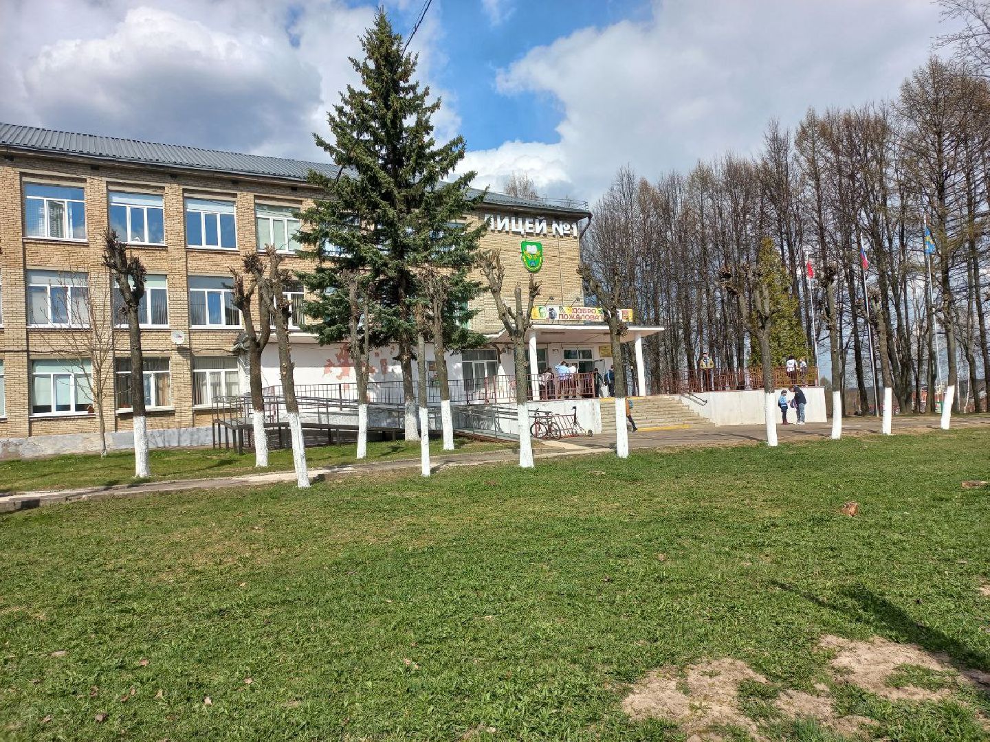 Солнечногорск, благоустройство, деревья, сухостой, школа