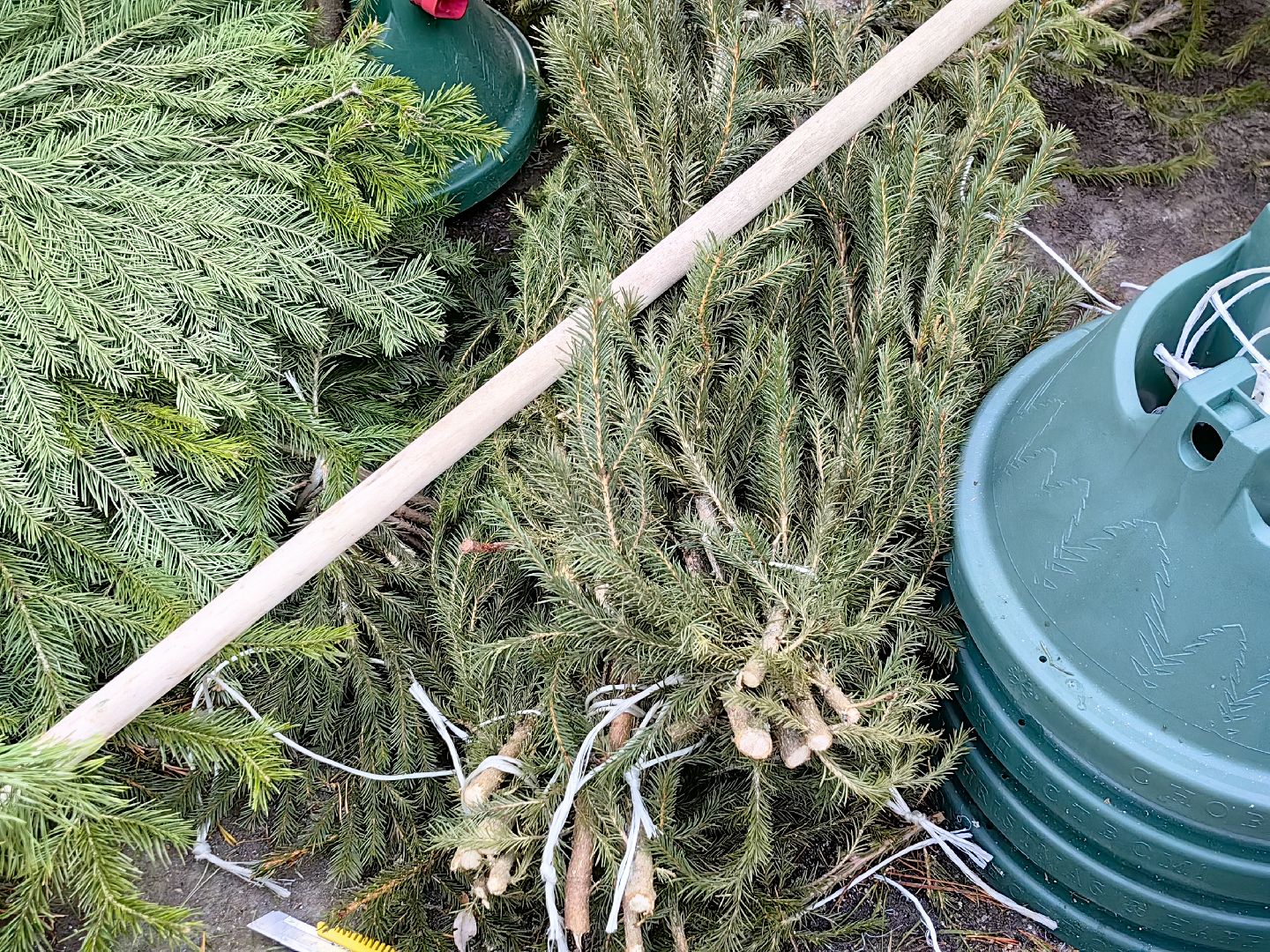 елочный базар, лапник, сосна, пихта, ель, вертикалки