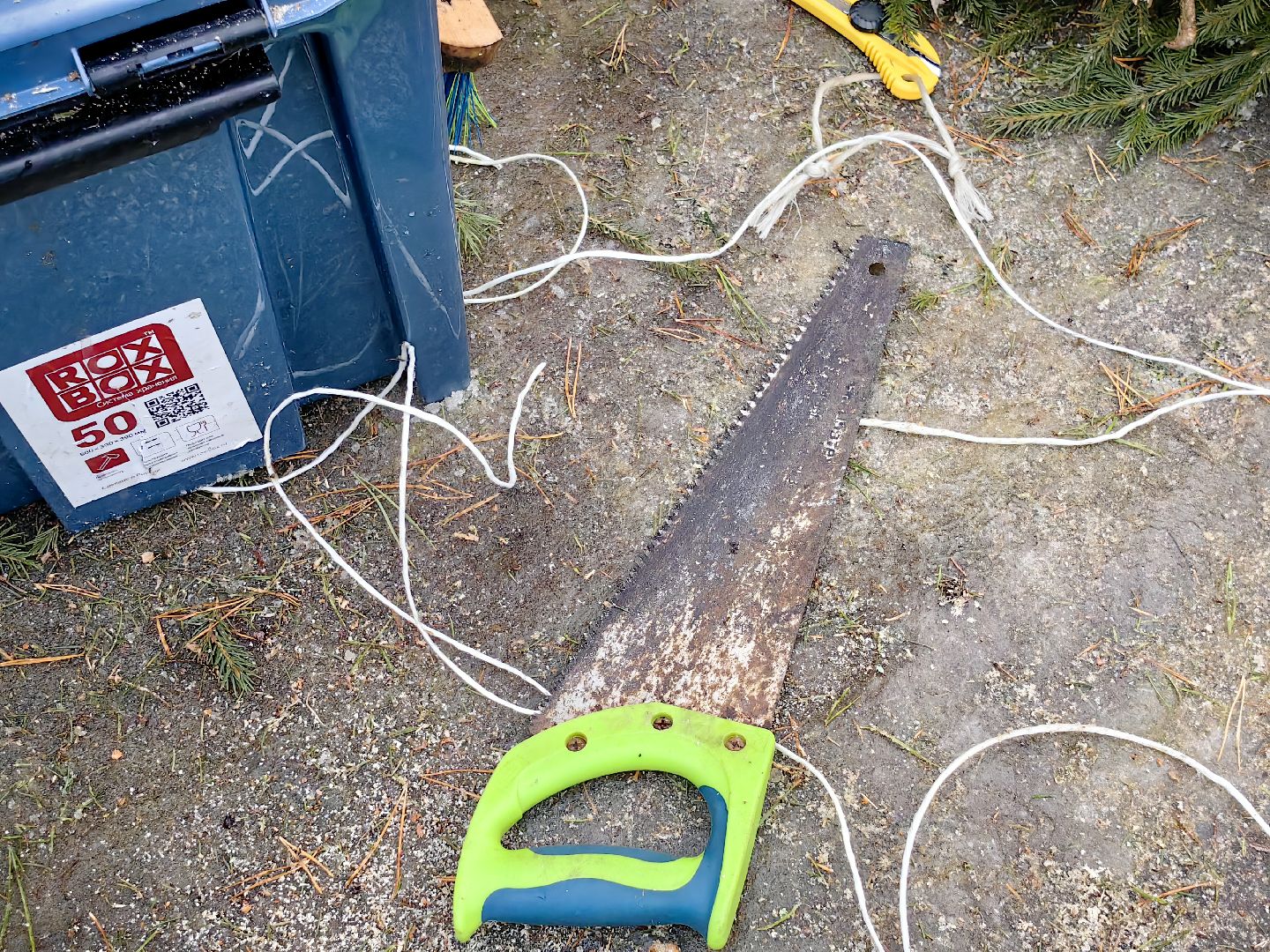 елочный базар, лапник, сосна, пихта, ель, вертикалки