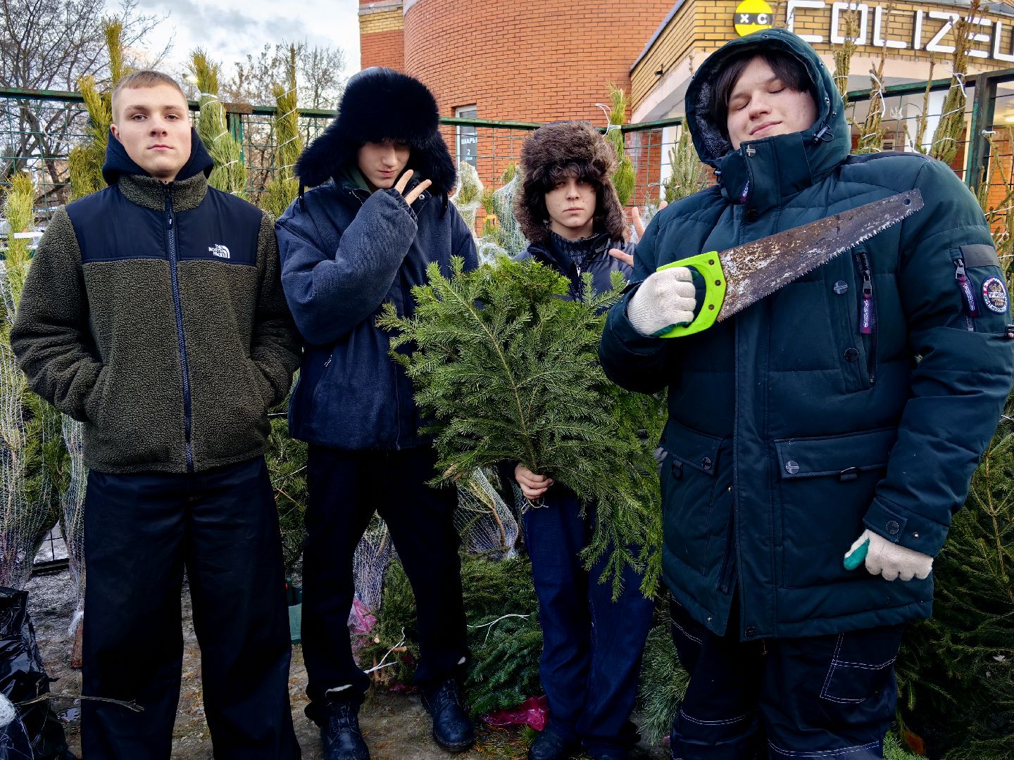 елочный базар, лапник, сосна, пихта, ель, вертикалки