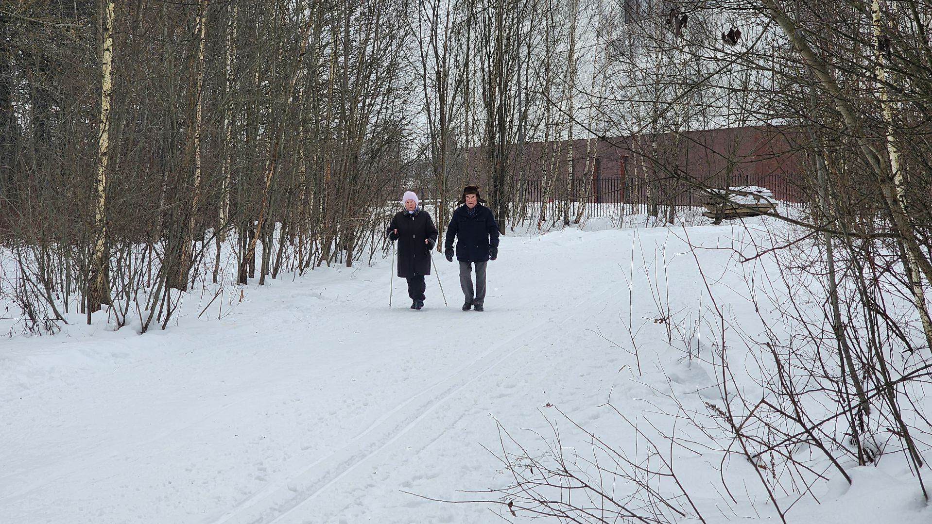Солнечногорск, вертикалки, парк победы, спорт, лыжи,