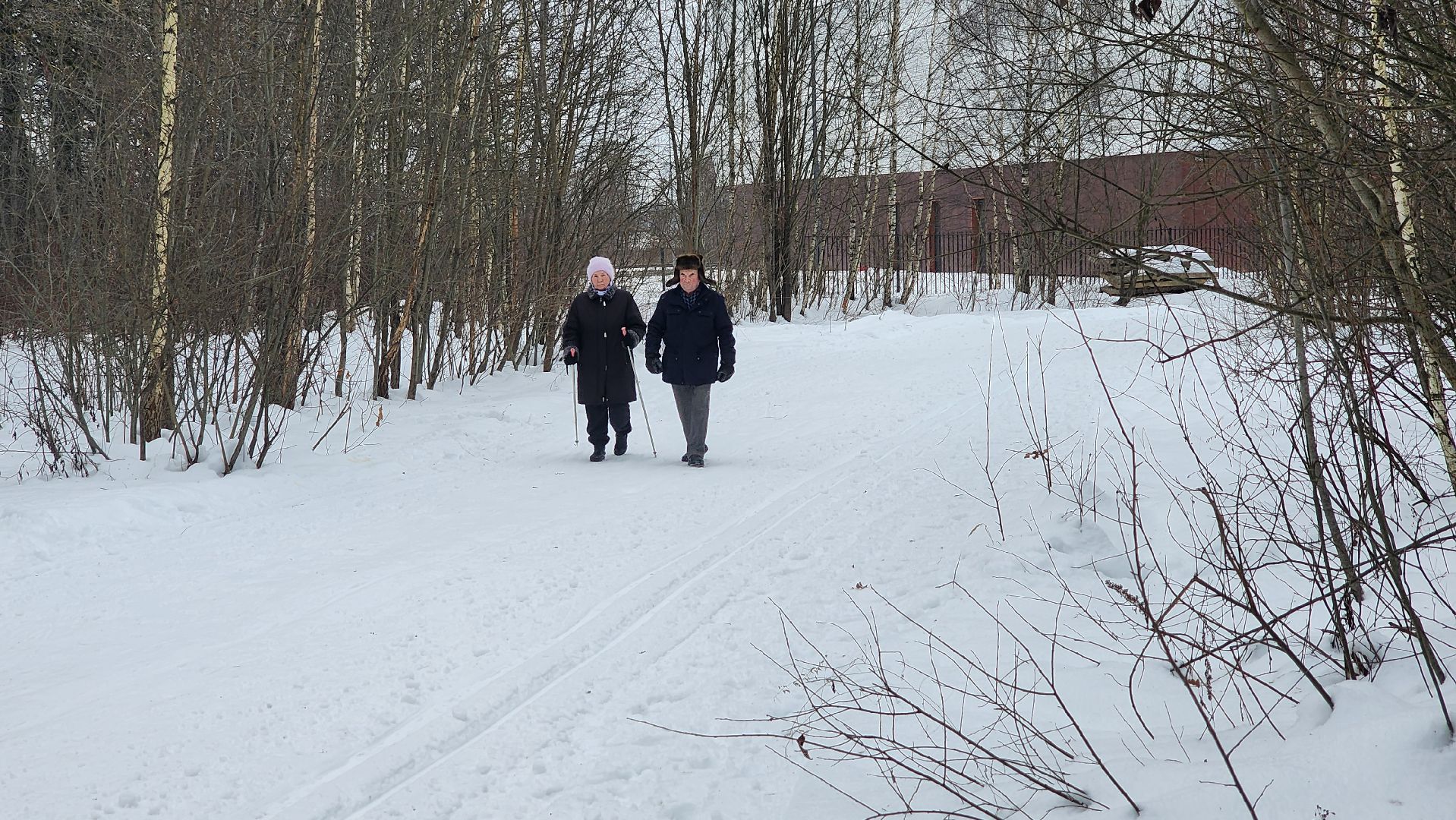 Солнечногорск, вертикалки, парк победы, спорт, лыжи,
