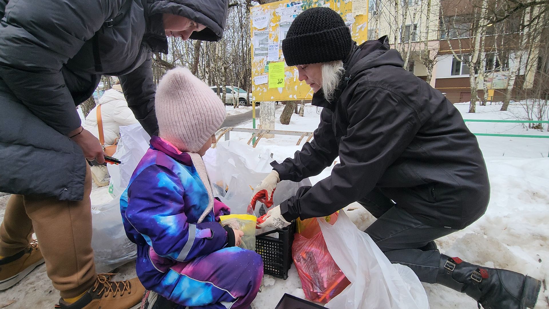 Одинцово, лесной городок, экология, разлельный сбор отходов,