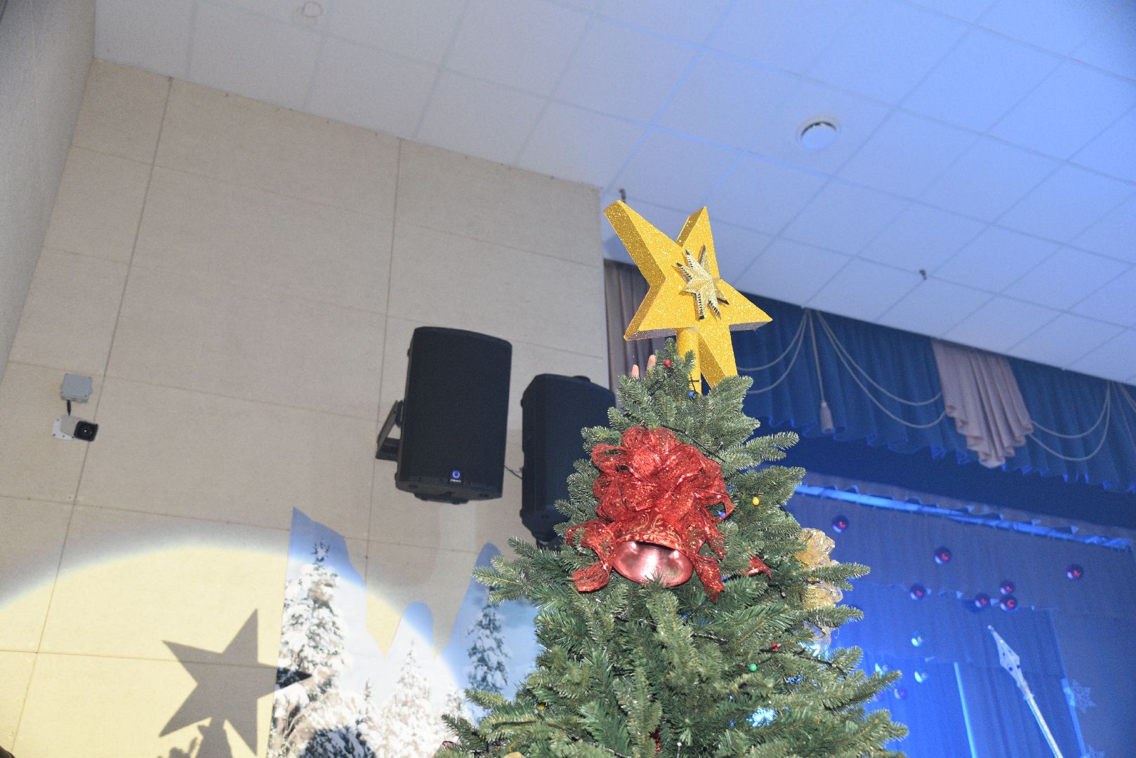 лотошино, лотошинский цдк, елка главы, новый год, дети, вертикалки,