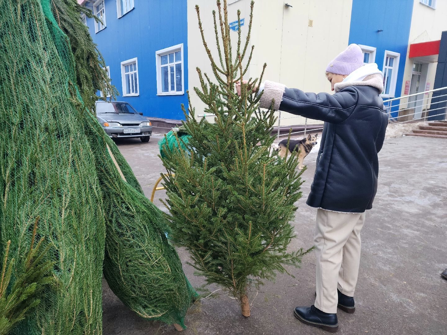 Пущино, новый год, серпухов, зима в подмомсковье,