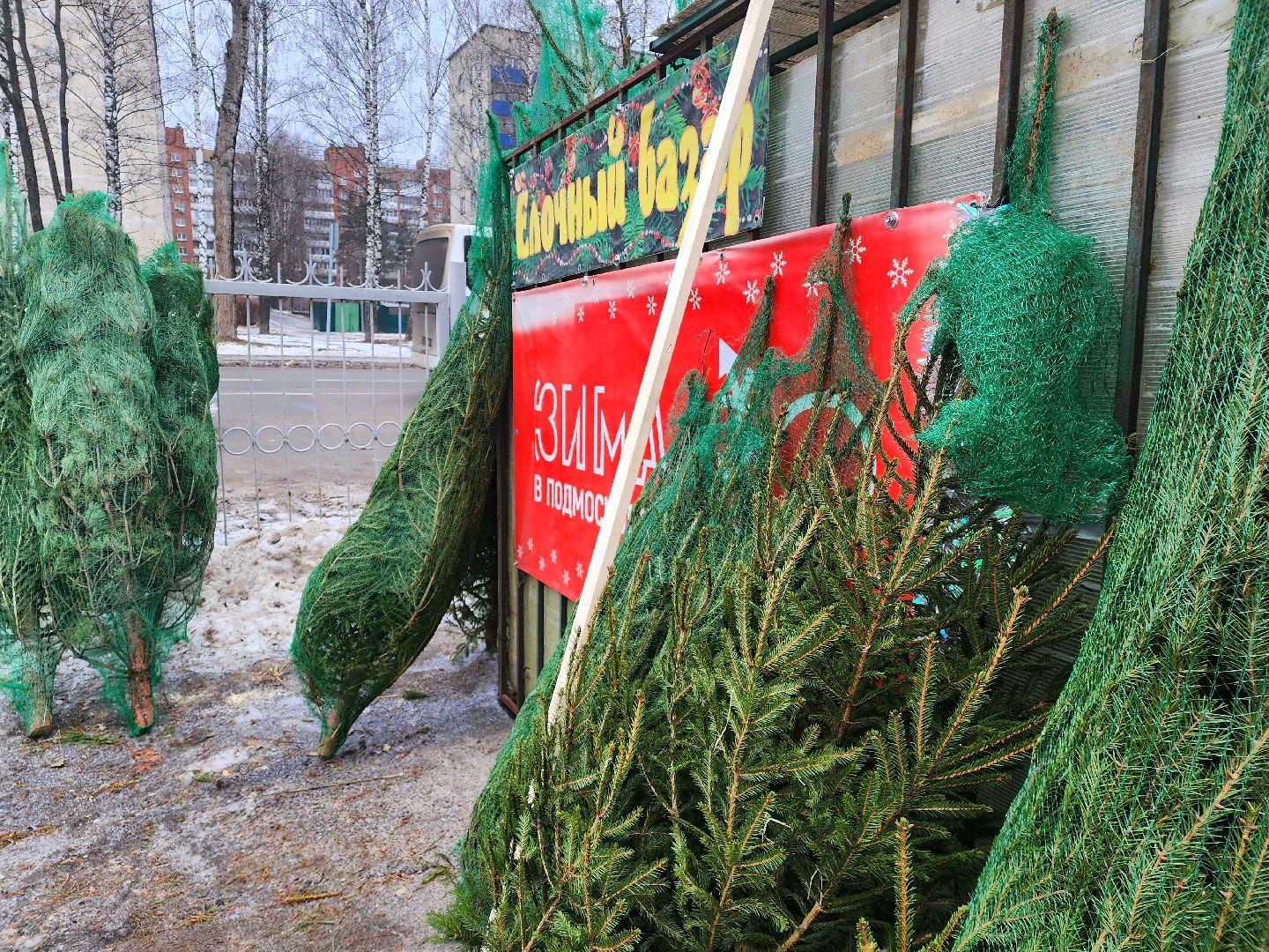 Пущино, новый год, серпухов, зима в подмомсковье,