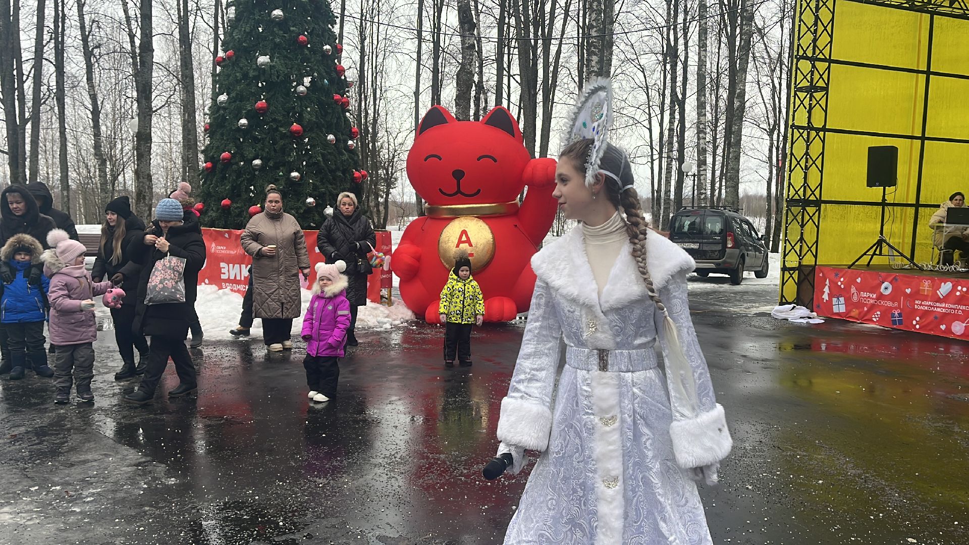 волоколамск, новый год, Новогодняя елка, Волоколамский парк,