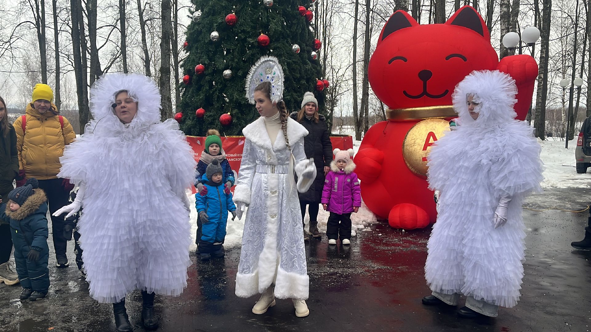 волоколамск, новый год, Новогодняя елка, Волоколамский парк,