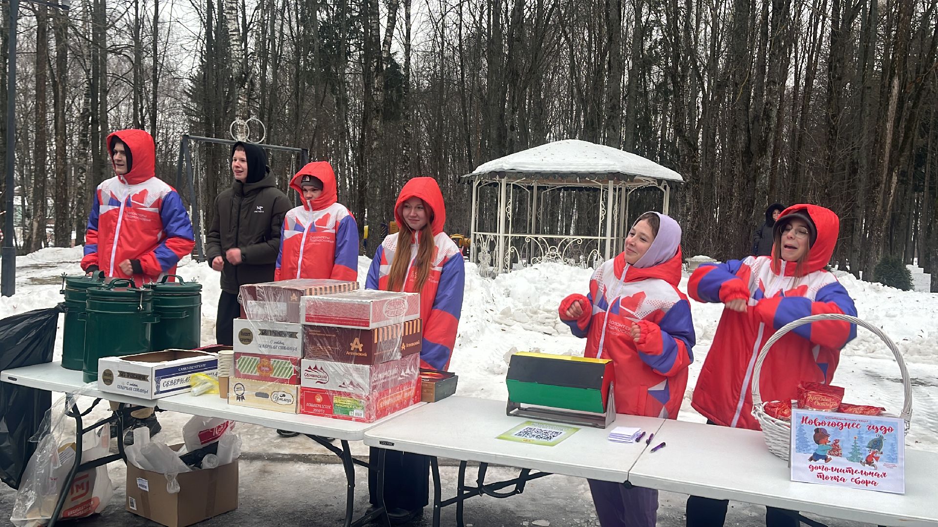 волоколамск, новый год, Новогодняя елка, Волоколамский парк,