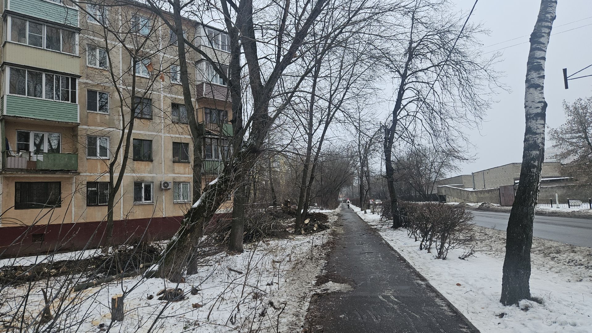 Сухостой, Деревья, Жуковский, вертикалки,