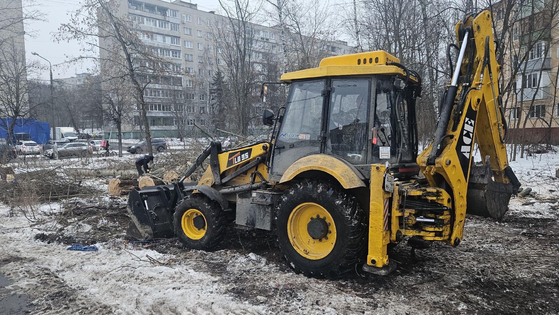 Сухостой, Деревья, Жуковский, вертикалки,