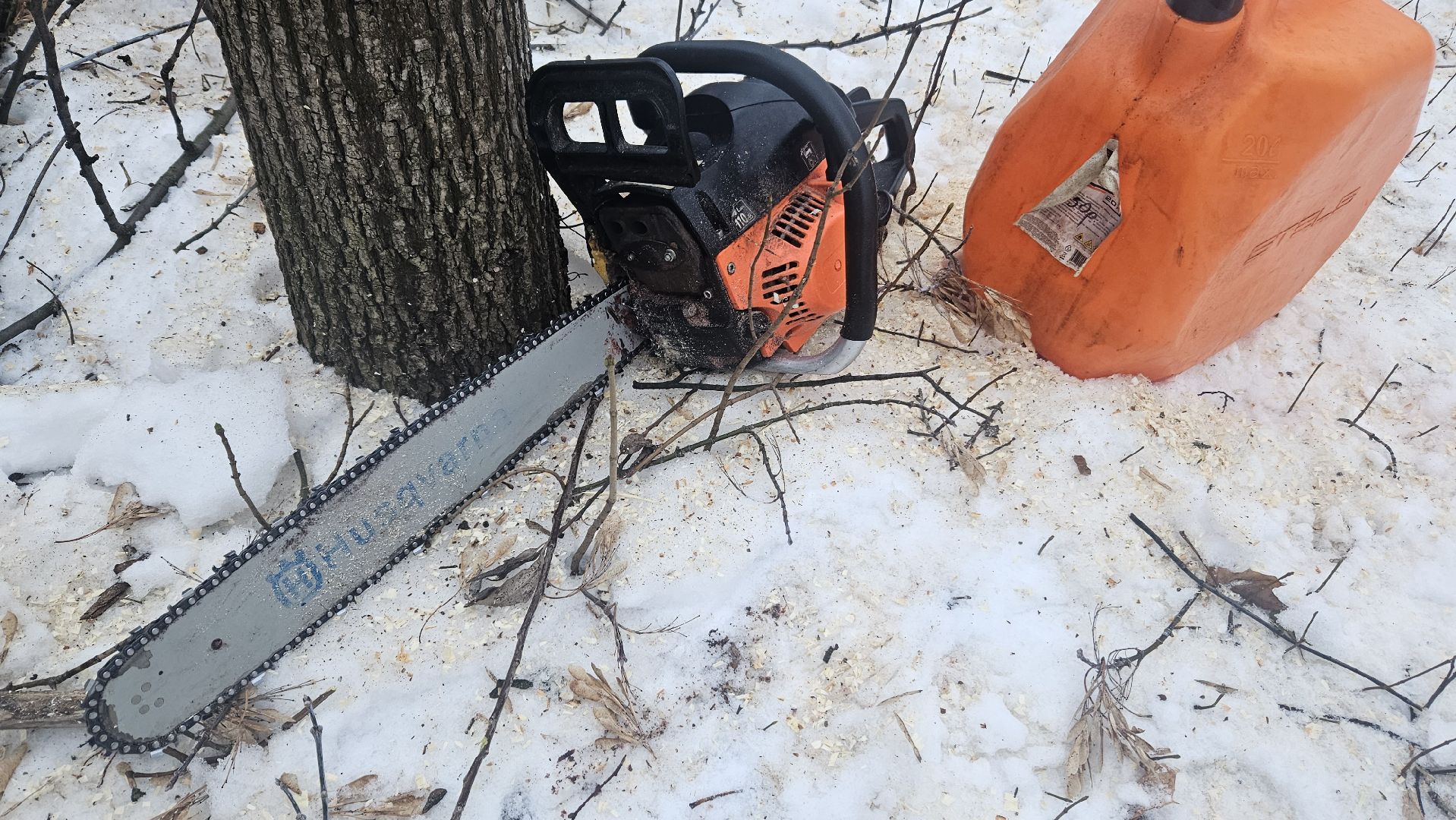 Сухостой, Деревья, Жуковский, вертикалки,