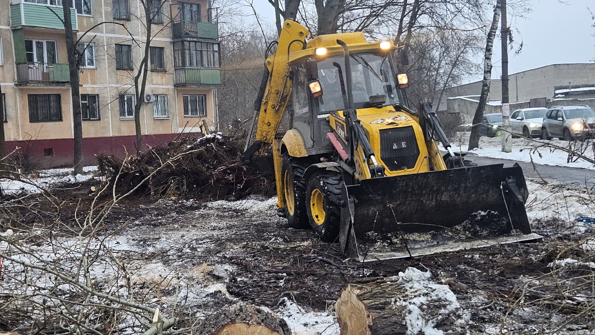 Сухостой, Деревья, Жуковский, вертикалки,