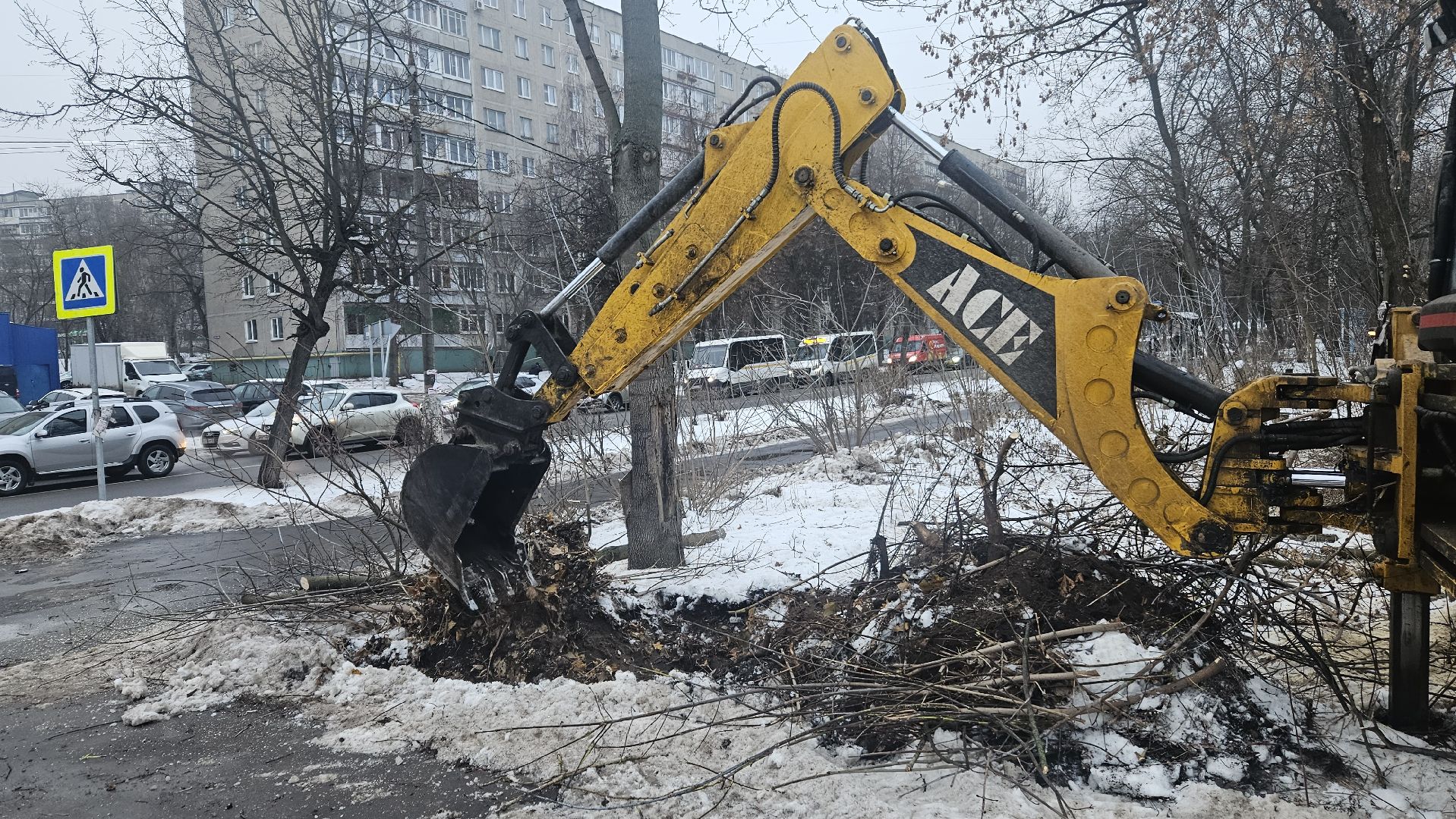 Сухостой, Деревья, Жуковский, вертикалки,