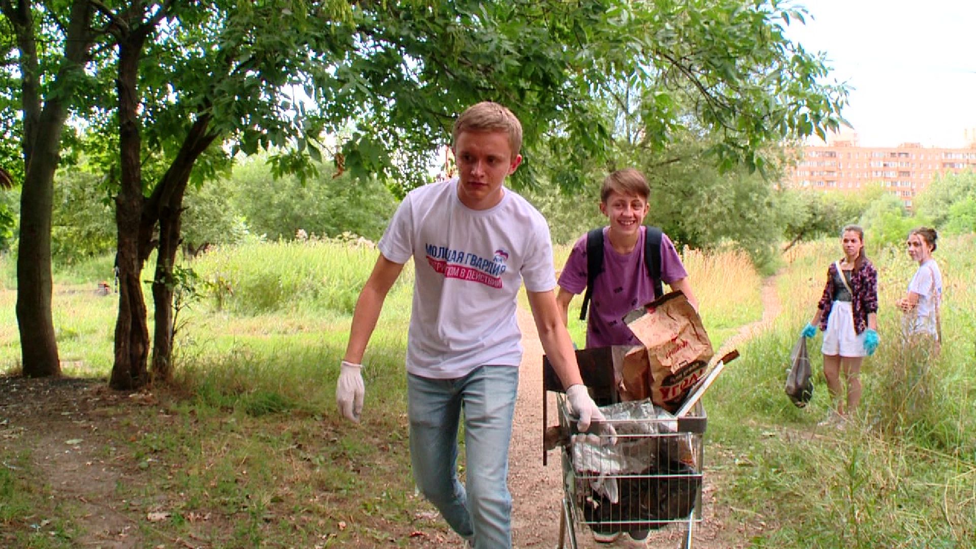 вертикалки,