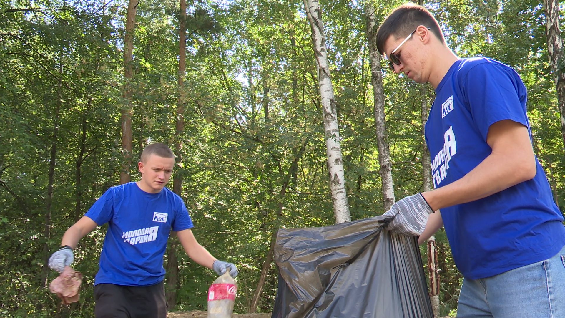 вертикалки,