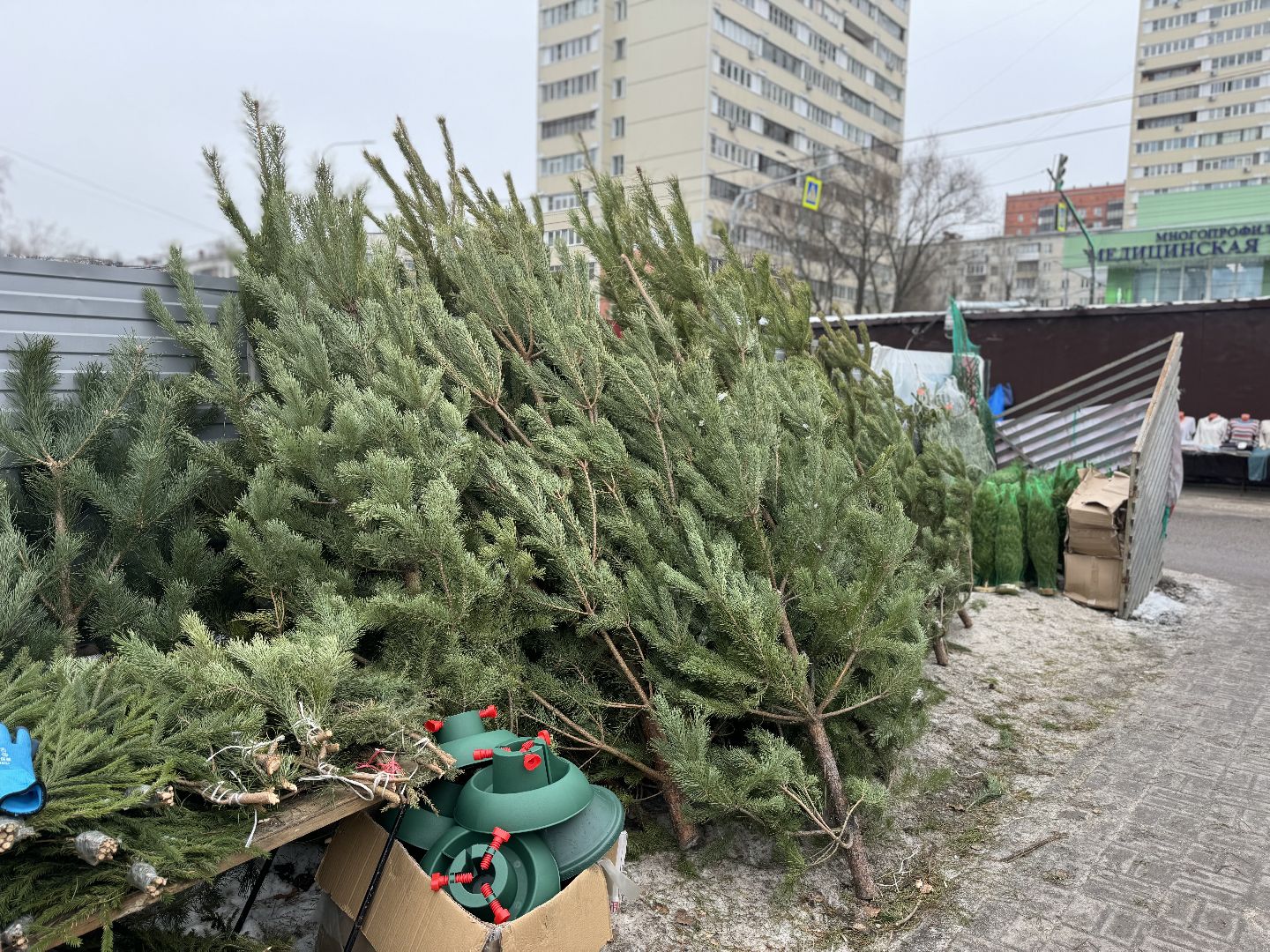 Елочные базары,зима в подмосковье,Сосны и ели,ленинский городской округ,