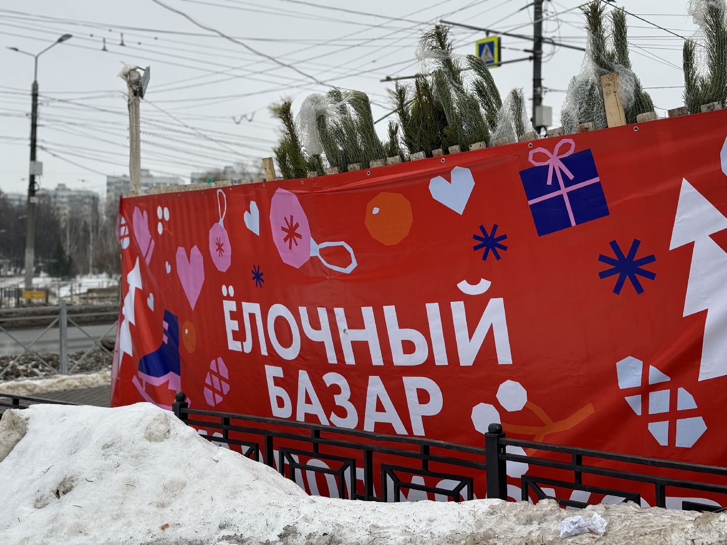 Елочные базары,зима в подмосковье,Сосны и ели,ленинский городской округ,