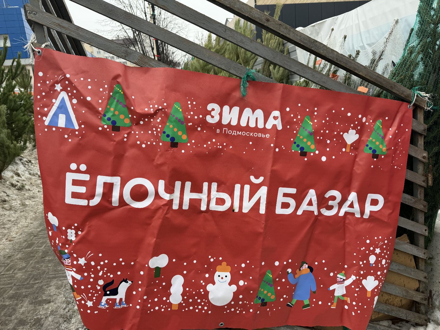 Елочные базары,зима в подмосковье,Сосны и ели,ленинский городской округ,