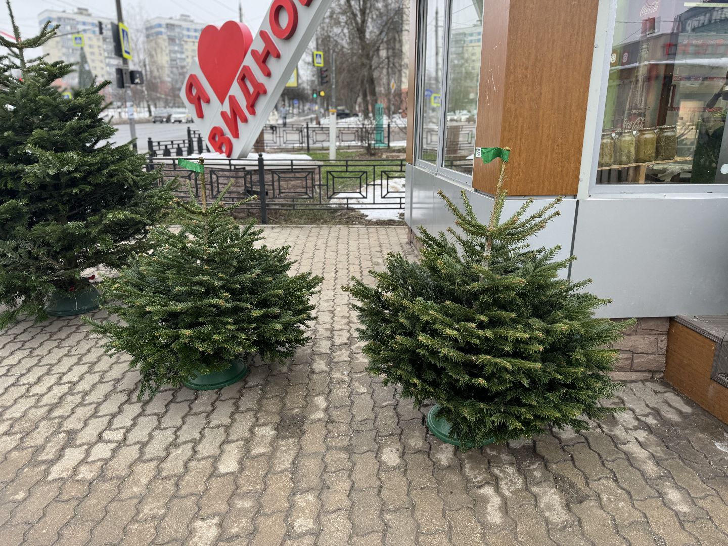 Елочные базары,зима в подмосковье,Сосны и ели,ленинский городской округ,