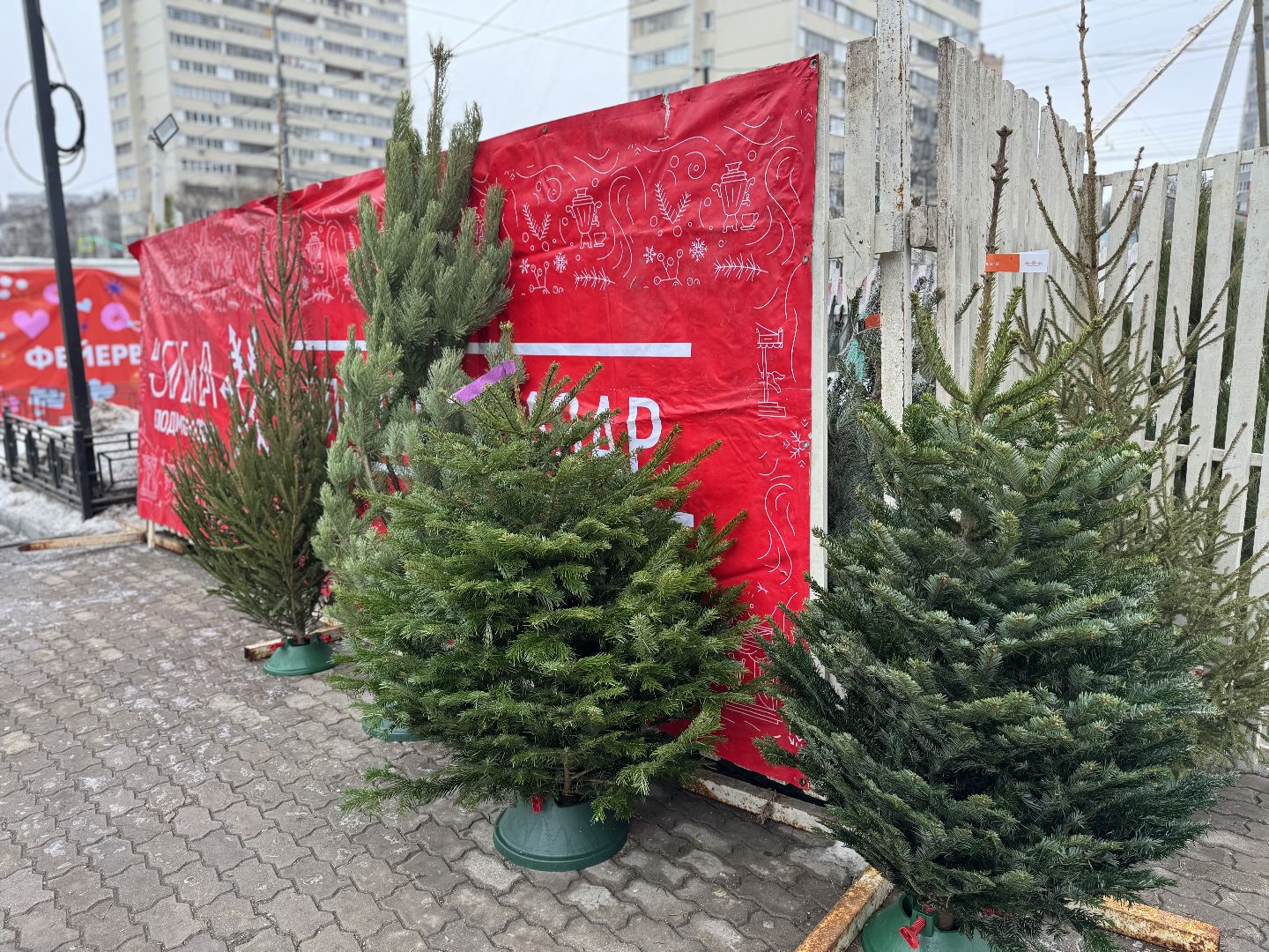 Елочные базары,зима в подмосковье,Сосны и ели,ленинский городской округ,
