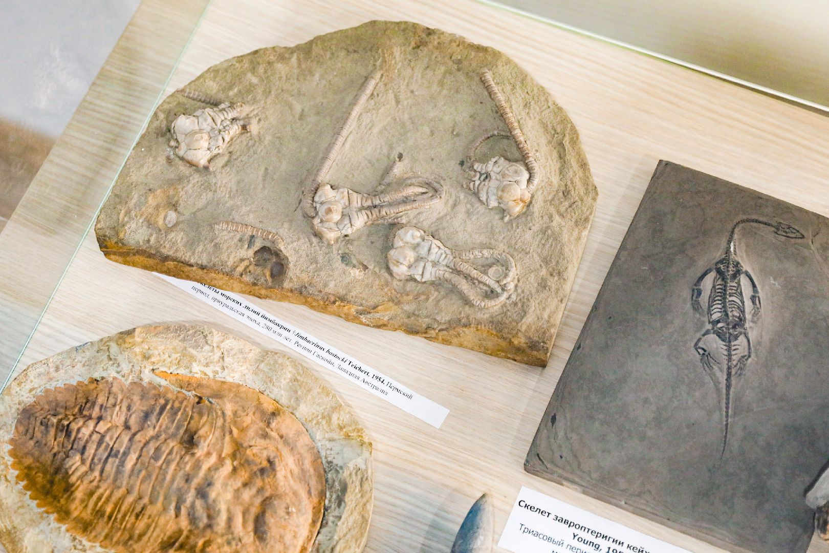 музей, история, химки,