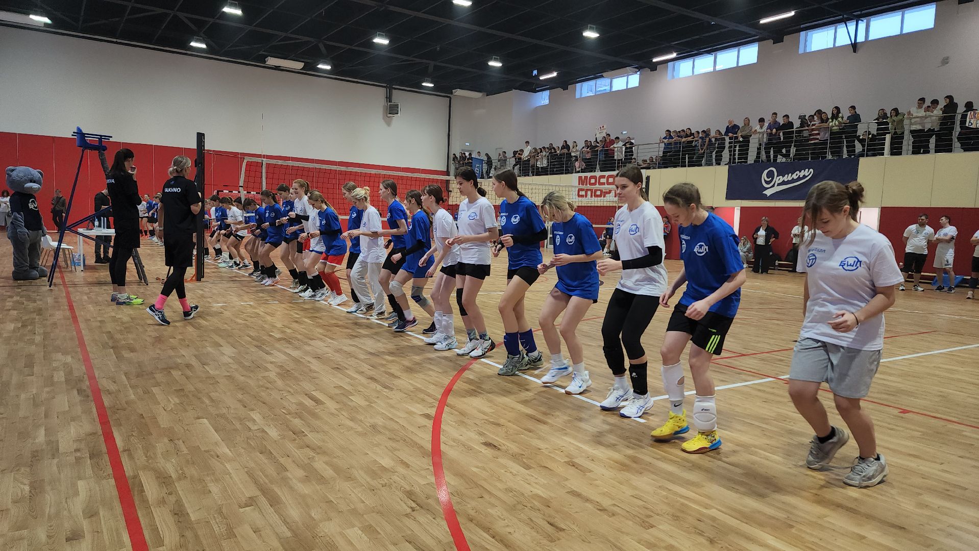 спорт, волейбол, бшл, балашихинская школьная лига, тренировка, спортсмены, звезды спорта,