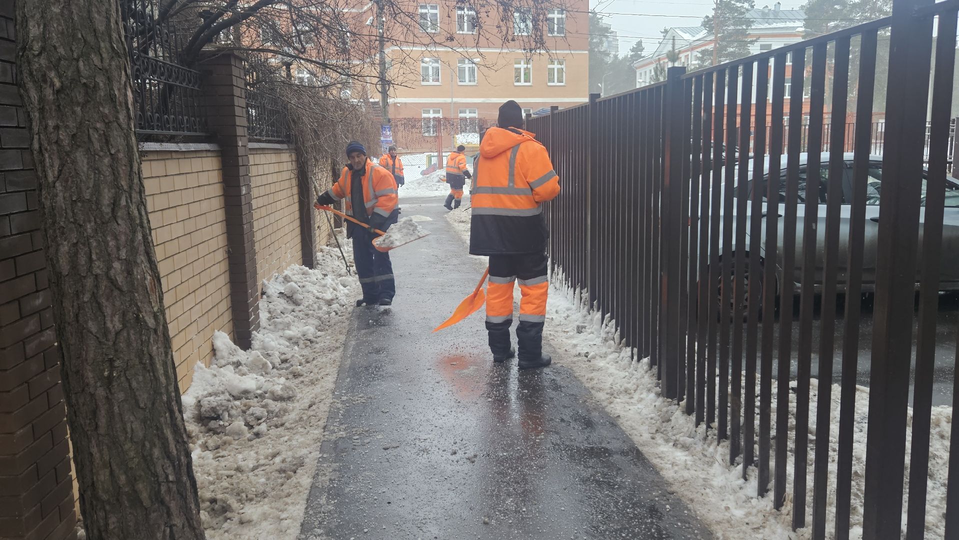 вертикалки,