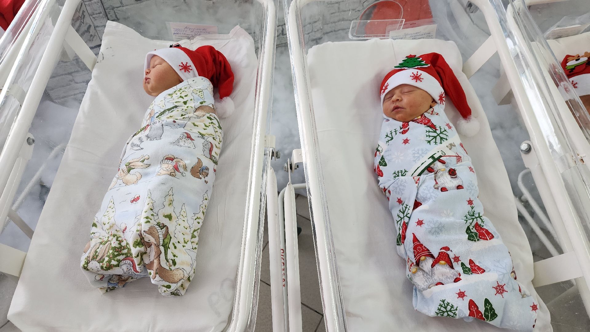 Солнечногорск, вертикалки, роддом, фотосессия, ньюборн,