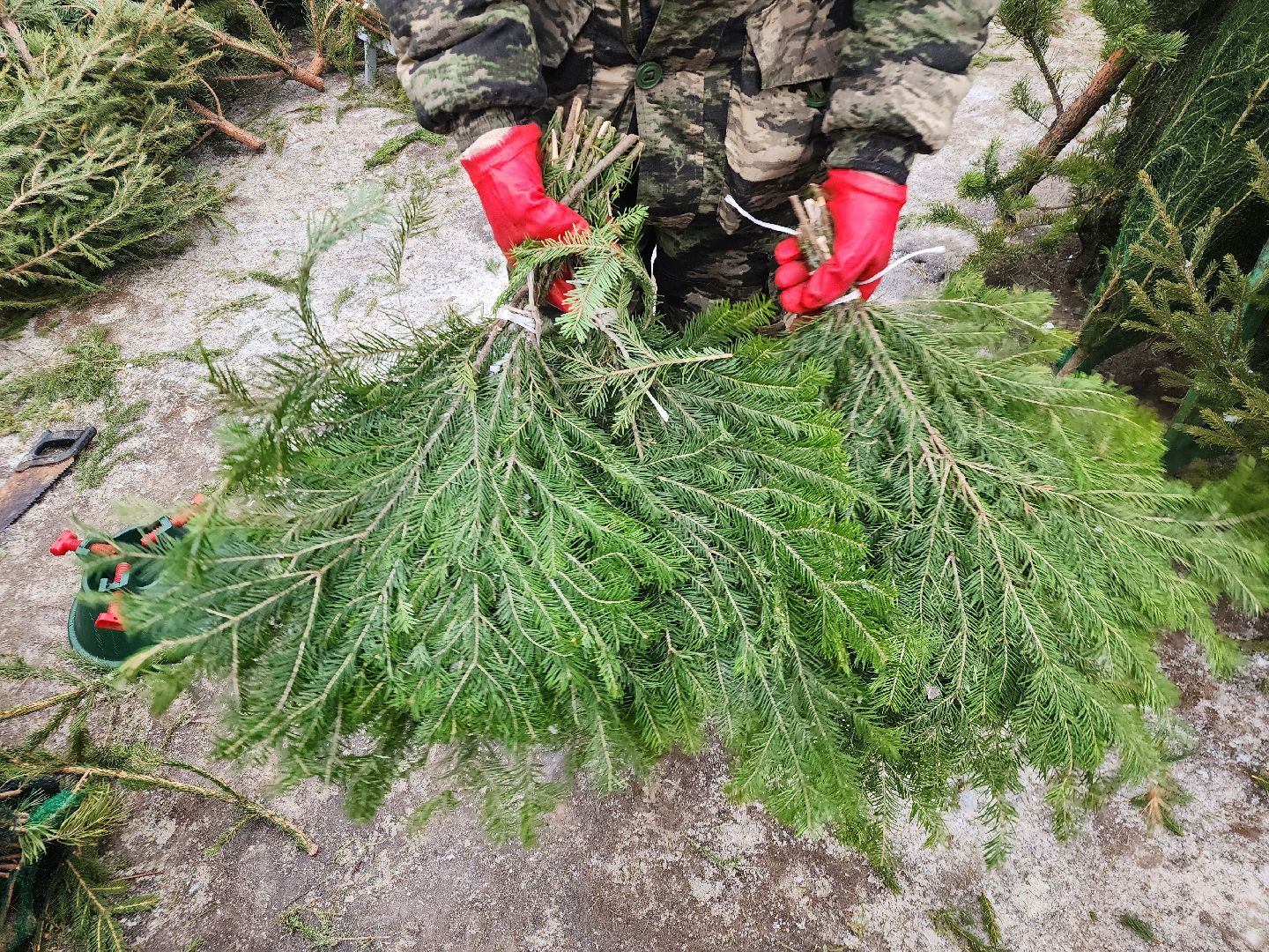 вертикалки, подольск, ели, сосны, новый год,