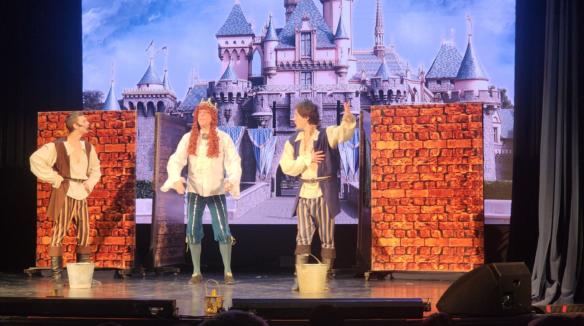 Звенигород, Культура, новогодние праздники, вертикалки,